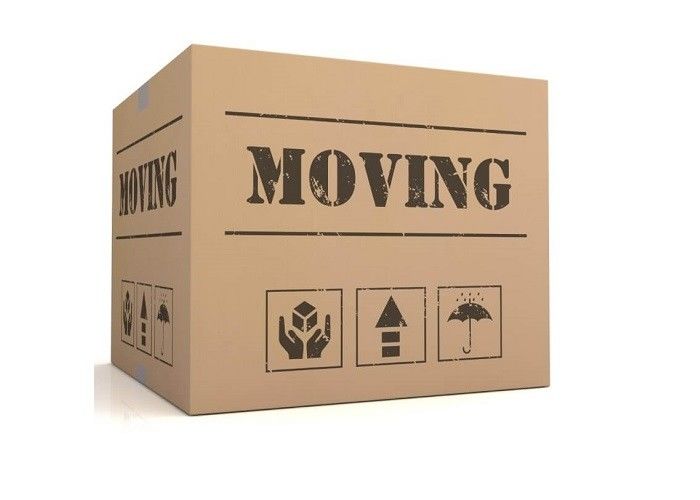 individual shipping boxes