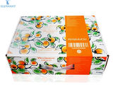 Cheap Customized Printing Design Beautiful Strong Diecut Large Fruit Packing Corrugated Mailer Boxes